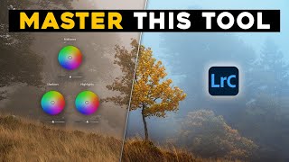 PRO Photography COLOR GRADING in LIGHTROOM [upl. by Adnal819]