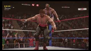 The Steiners vs The Quebecers WWF World Tag Team Championship  WWF World Tour [upl. by Starla]