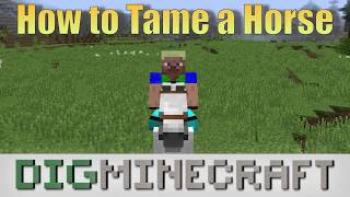 How to tame and ride a Horse in Minecraft [upl. by Press]