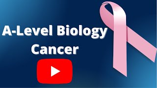 Cancer ALevel Biology [upl. by Enyala828]