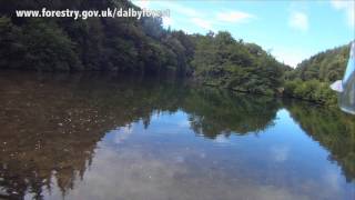 Dalby Forest  Great Yorkshire Forest North Yorkshire Moors Summer [upl. by Barimah785]