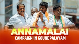 LIVE Tamil Nadu BJP president Annamalai holds election campaign in Goundpalayam Coimbatore [upl. by Lyj]