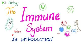 Introduction to the Immune System  Types of Immunity  Immunology Playlist [upl. by Alanson]