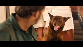 FetchTV  Red Dog Movie Trailer 2011 [upl. by Clerissa]