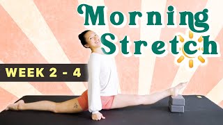 20 MIN Morning Stretch with Yoga blocks for Splits Wk24 [upl. by Crissy]