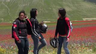 La fioritura di Castelluccio di Norcia 2018 long version per Televisioni [upl. by Gujral]