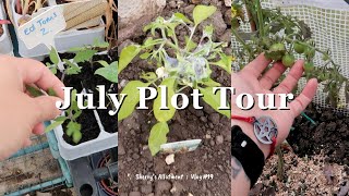 July Plot Tour amp Hacking ADHD Overwhelm ⛥ UK Allotment Vlog 19 ⛥ July 2024 ⛥ [upl. by Everara]