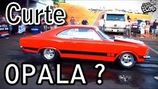 Curte Opala  e Opala FORTE  Na Real D2M [upl. by Akitnahs]