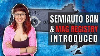 Semiauto Ban Mag Registry Introduced in MA [upl. by Yuh685]