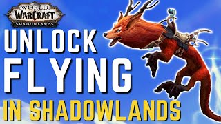 Unlock FLYING in Shadowlands 91  New Flying MOUNTS and How to Get Them [upl. by Llehsyar183]