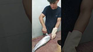 Fillet the salmon with a few practical movements [upl. by Sibyls]