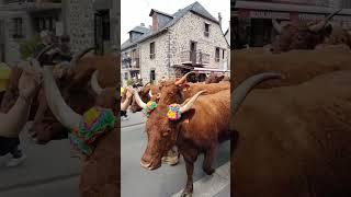 Fêtes de lestive  Allanche  Cantal  24 mai 2024  35 [upl. by Hinkle]