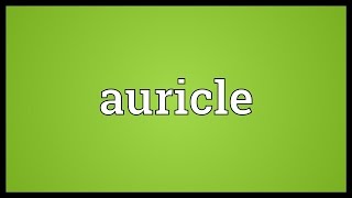 Auricle Meaning [upl. by Kenti946]