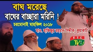 বাঘ মরেছে কিন্তু বাঘের বাচ্ছারা মরিনি  চরমোনাইর ময়দানে । মাওলানা হাফিজুর রহমান সদ্দীক কুয়াকাটা। [upl. by Dublin966]