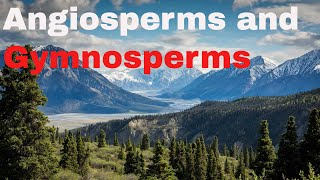 Difference between angiosperm and gymnosperm plants [upl. by Slaohcin]