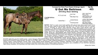 Pitzer Ranch Fall Sale 2024 Lot 405 U GOT ME DELIRIOUS [upl. by Marlin]