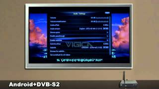 Full HD Android dvb s2t2 smart google tv box vigica c60xbmc cccam newcamd support [upl. by Wildee362]