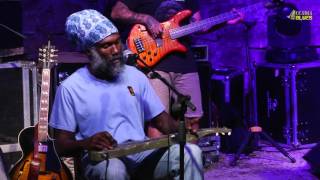 OFFICIAL Corey Harris Band  Accadia Blues  24072015 [upl. by Bruyn]