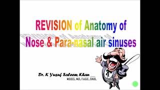 Anatomy of Nose amp ParaNasal Air Sinuses  Revision within 10 minutes  Dr Yusuf [upl. by Nehgem]