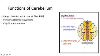 Examination of Cerebellar signs simplified  NEUROON Child Neurology teaching sessions [upl. by Eceryt676]