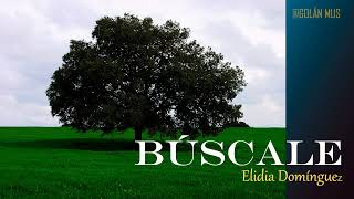 BÚSCALE [upl. by Sotos]