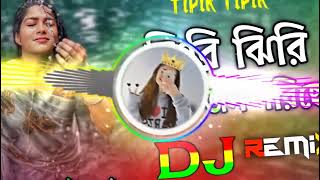 Tipik Tipik Jol Poriche Dj টিপিক টিপিক জল পরিছে Tiktok Viral Dj ডিজে গান 2024 [upl. by Davita]