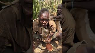 Hadzabe tribe ancient bush people still live old traditional lifestyle in the nature off of land [upl. by Dnomaj775]