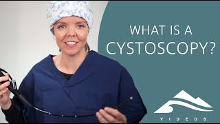 What is a cystoscopy evaluation of your bladder [upl. by Federico]