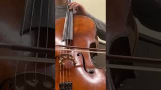 rachmaninov classicalmusic cello [upl. by Lamrej701]