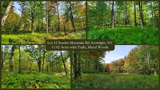 Lot 12 Sunrise Mountain Rd Kortright NY  1102 Wooded Acres with Trails on Private Road [upl. by Repinuj]