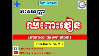 រោគសញ្ញា ឈឺពោះវៀន l Enterocolitis symptoms ll CML Health Science Official [upl. by Luanni628]