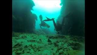 Roatan Diving Gopro HD Hero3 Black [upl. by Liz108]