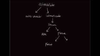 10minute Rounds Why is normal saline considered an isotonic solution [upl. by Ellinad]