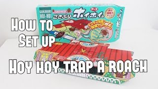 How to Set Up Hoy Hoy Trap A Roach Gokiburi HoiHoi ごきぶりホイホイ [upl. by Eibbed]