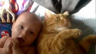 Cat attacks baby  with love [upl. by Afrikah]