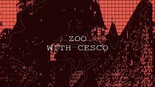 Drone amp Cesco  Zoo [upl. by Oigimer]