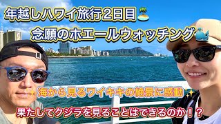 【ハワイ旅行2日目はホエールウォッチングツアーに参加！】冬〜春にしか見れないクジラさん！果たして見れるのか！？ [upl. by Nessy]