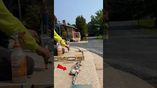 Road repair foam insulation shortsvideo [upl. by Kerri]