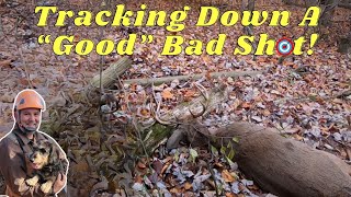 Deer Tracking Wire haired Dachshund Tracks Down Buck during 2023 PA deer hunting season [upl. by Ahsoyem745]