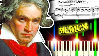 BEETHOVEN  MOONLIGHT SONATA Movement 1  Piano Tutorial [upl. by Desiree728]