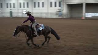 Jessia Harris riding Vintage Sugarplum  IRHA Rookie Score 72 Aug 2024 [upl. by Bryn]