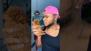 1010 Transition poodle puppy transition viralvideo [upl. by Nesnah]