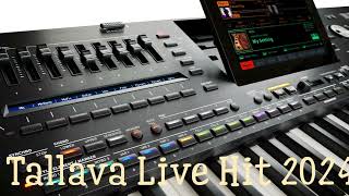 Tallava Live INSTRUMENTAL HIT [upl. by Gerkman9]