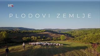 Plodovi zemlje 1 kolovoza 2021 [upl. by Chalmer20]