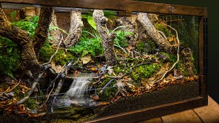 Realistic Indoor Meandering Creek Forest Biome Vivarium [upl. by Sillaw]