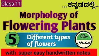 Class 11 ಕನ್ನಡದಲ್ಲಿ  Morphology of Flowering Plants  05  Flower [upl. by Akimet284]