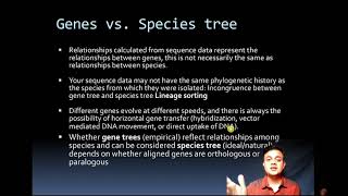 Orthologues Paralogues Gene tree Species tree and Lineage Sorting [upl. by Lorelie]