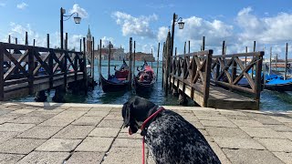 The ADVENTURE continues to VENICE LAKE GARDA SUD TYROL and HOPFENSEE in our Motorhome [upl. by Nehepts547]