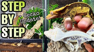 HOW TO SETUP A CRESTED GECKO VIVARIUM  GECKO UPDATE [upl. by Ayotan]