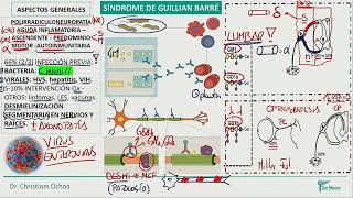 Neurología  Sd Guillian Barre Otras Neuropatias perifericas y Trast Motores [upl. by Eninnej981]